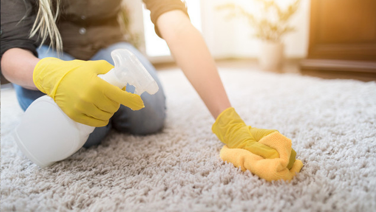 家政保洁中，地毯该如何清洗？清洗注意事项有哪些？—洁当家家政保洁加盟公司